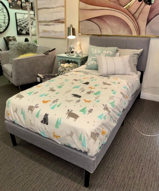 Twin Bedframe $149.00